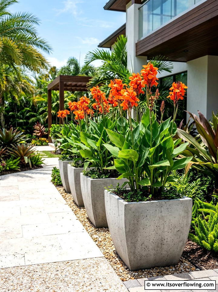 Canna lily for tall porch accents - 25 front porch ideas with sun loving plants