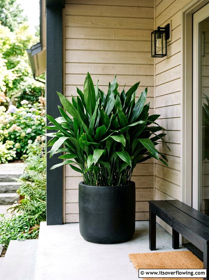 Cast Iron Plant Corner - 25 front porch ideas with shade plants