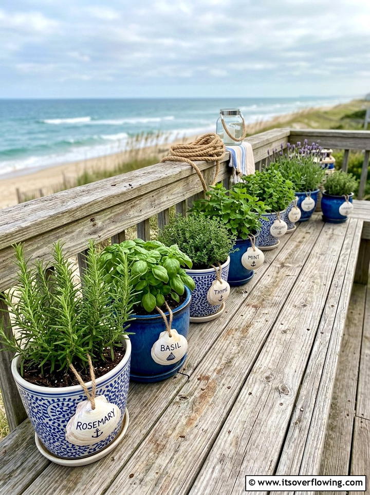 Clam Shell Plant Tags - 25 recycled garden ideas with garden markers