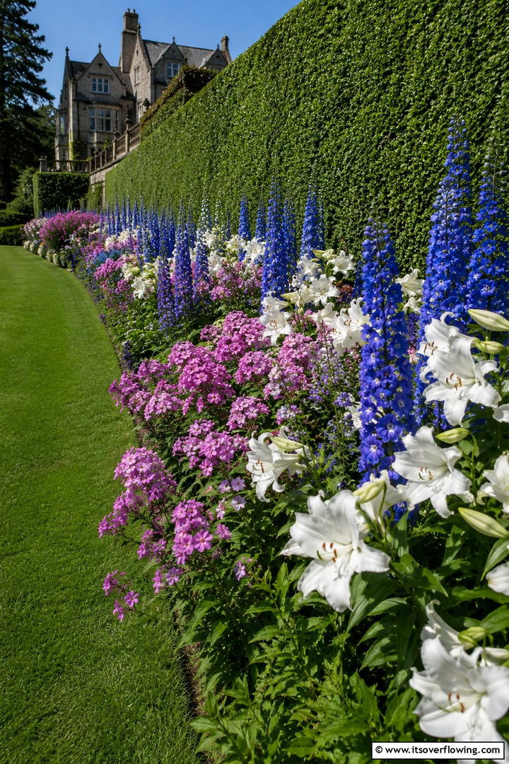 Classic Perennial Elegance - 30 Perennial Flower Bed Ideas for Year-Round Blooms