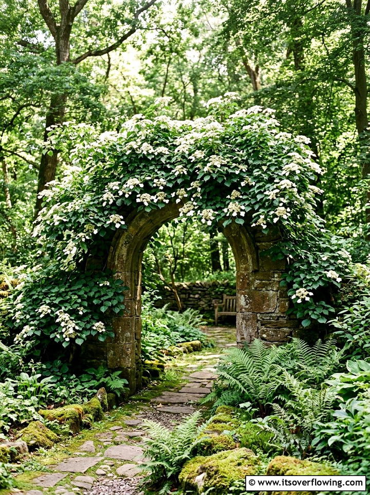 Climbing Hydrangea Archway - 25 creative garden ideas with archway flowers