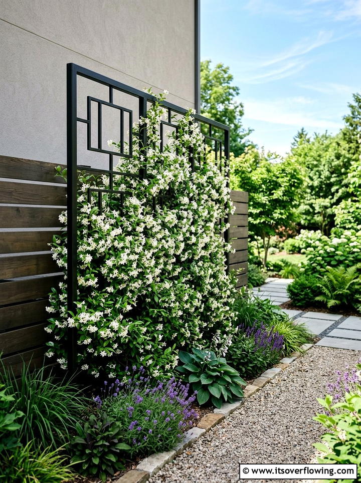 Climbing Plant Trellis - 25 creative garden ideas for narrow spaces