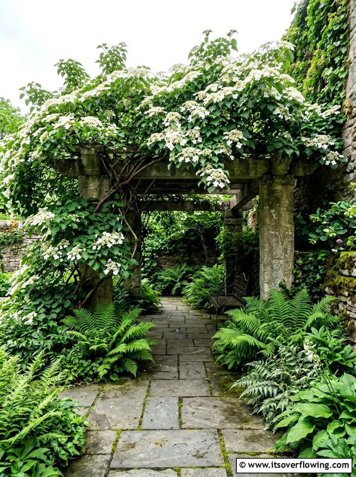 Climbing hydrangea north facing garden - 25 creative garden ideas with pergola vines