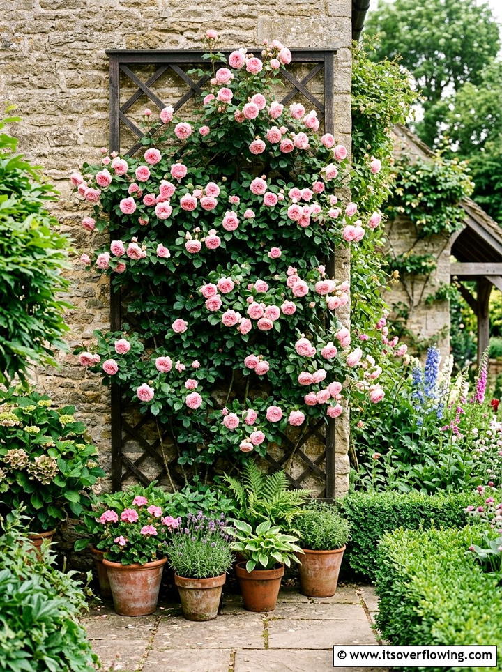 Climbing rose trellis - 25 garden ideas for cottage homes