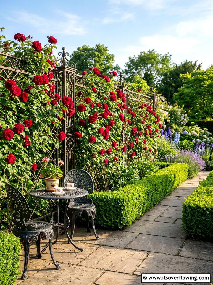 Climbing rose trellis fence - 25 backyard ideas with trellis fence