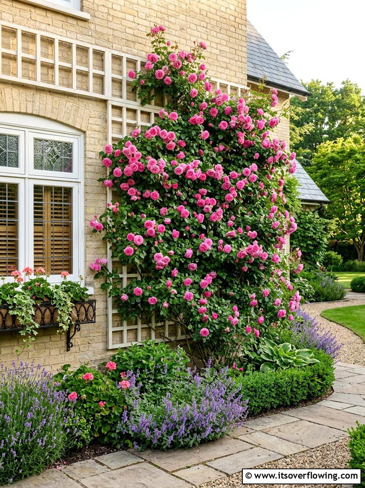 Climbing rose wall - 25 garden ideas with trellis