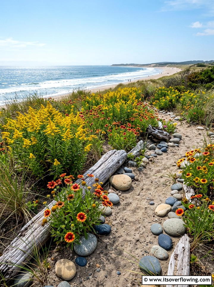 Coastal Wildflower Landscape - 25 garden ideas with wildflowers