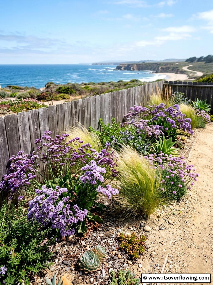 Coastal drought tolerant plants - 25 creative garden ideas with drought proof landscaping