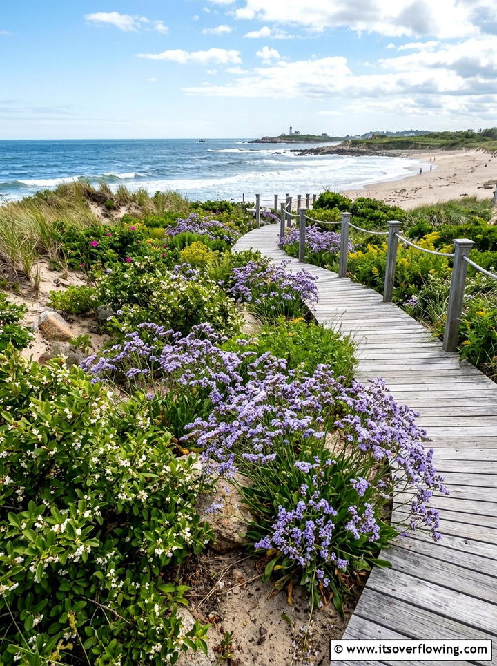 Coastal garden with salt tolerant natives - 25 backyard ideas with native plants