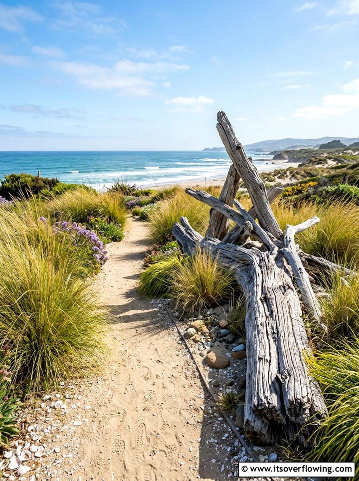 Coastal landscape with driftwood - 25 garden ideas with driftwood sculptures