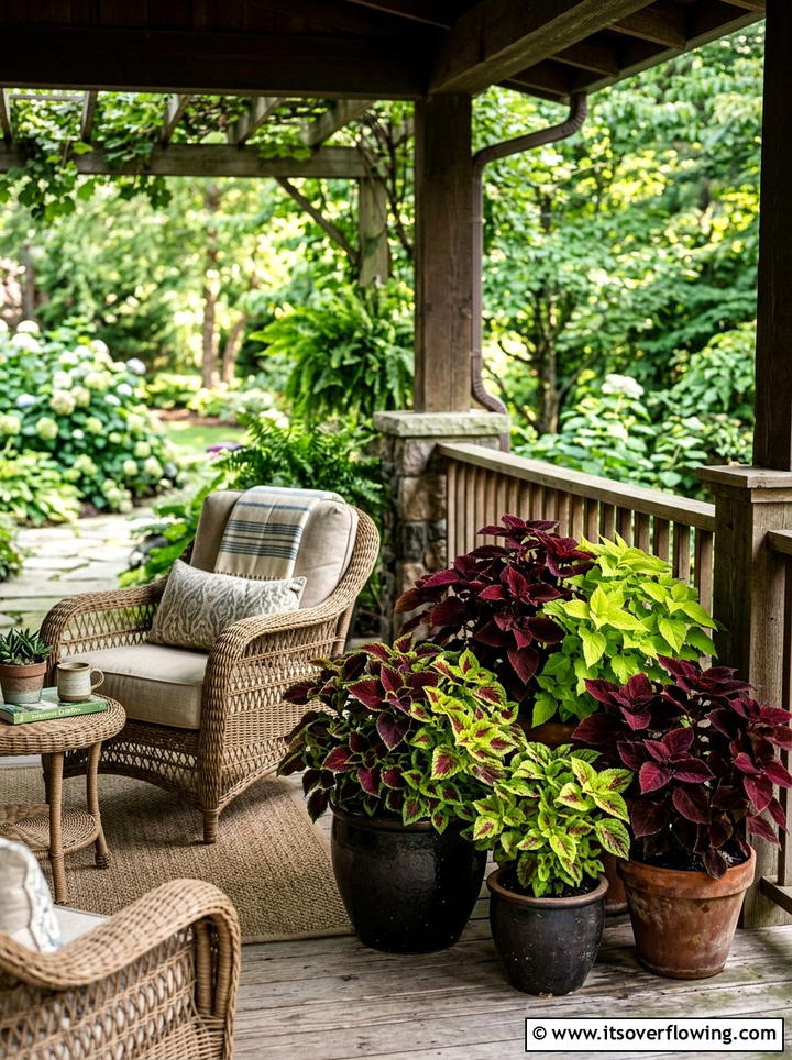 Colorful Coleus Pots - 25 front porch ideas with plants