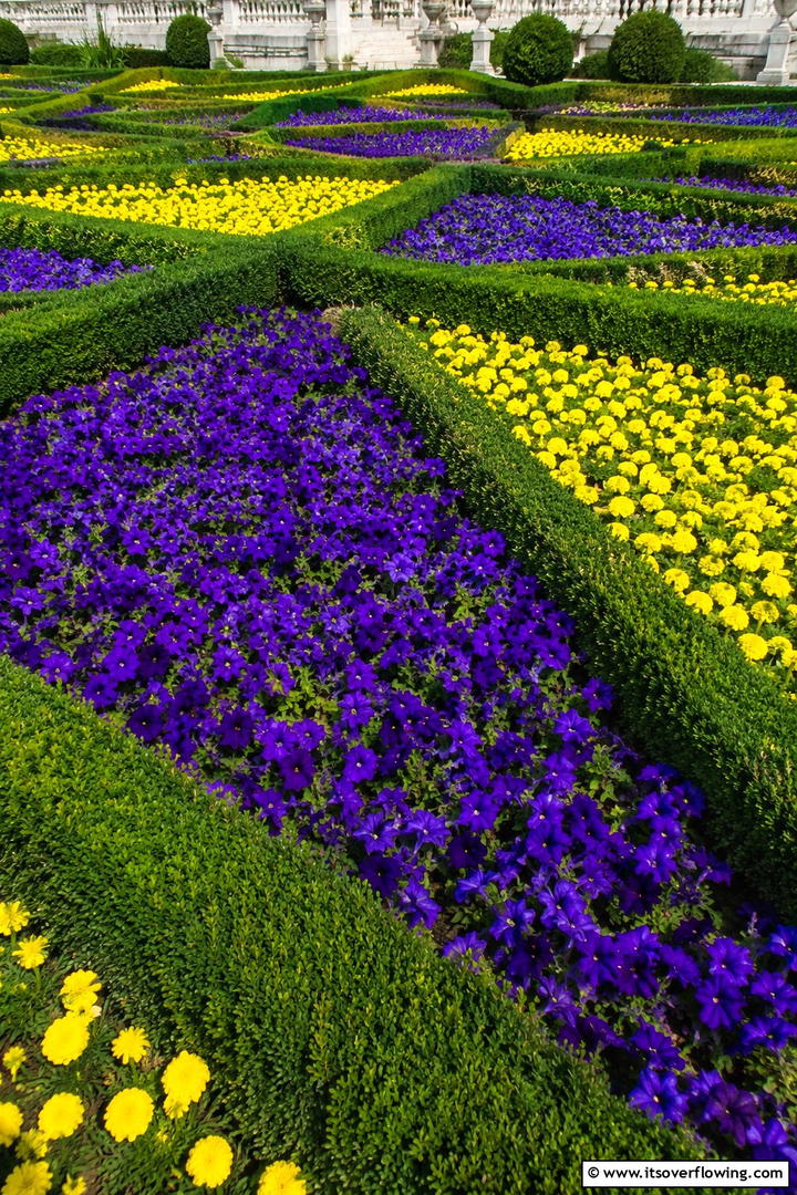 Colorful Contrasts - 30 Parterre Garden Ideas for Elegant Outdoor Spaces