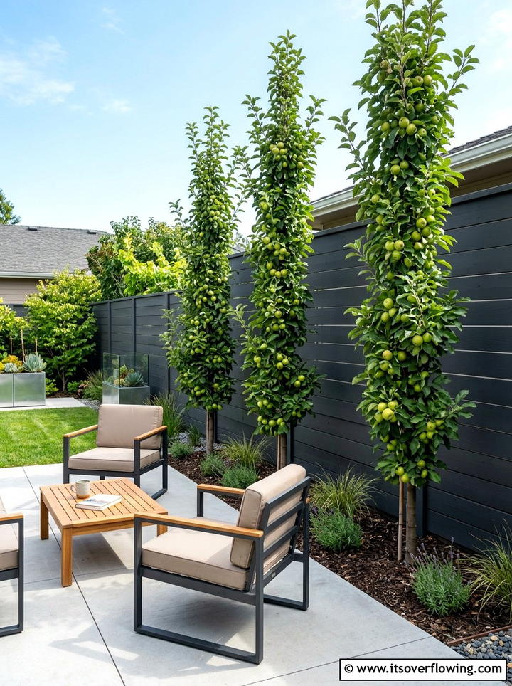 Columnar Apple Tree - 25 small garden ideas with dwarf trees