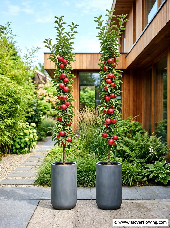 Columnar Apple Tree - 25 creative garden ideas with patio fruit trees