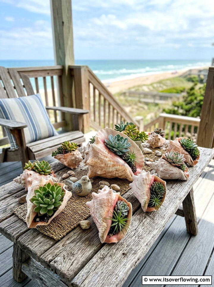 Conch shell succulent pot - 25 garden decor ideas with shell accents