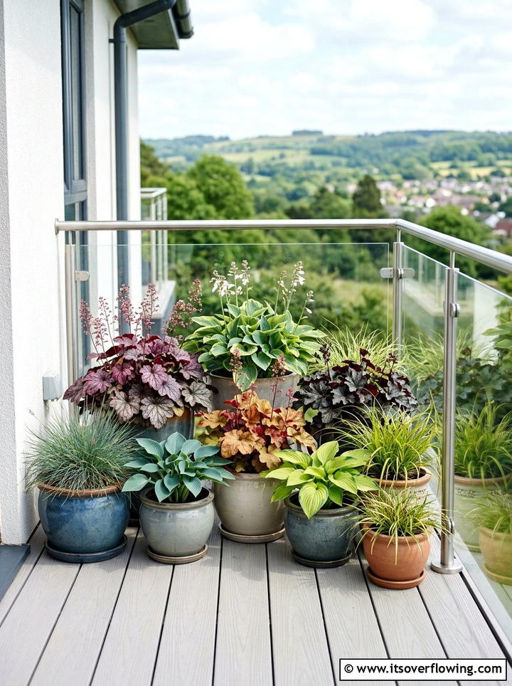 Container Perennials - 25 cheap garden ideas with perennials
