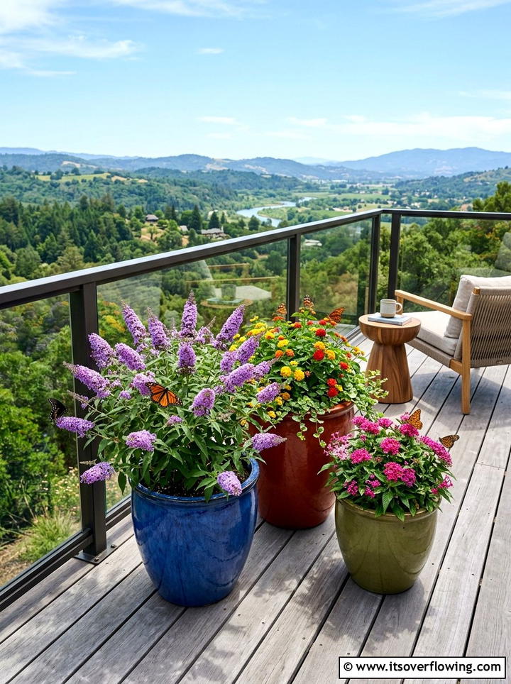 Container garden for butterflies - 25 garden ideas with pollinator plants