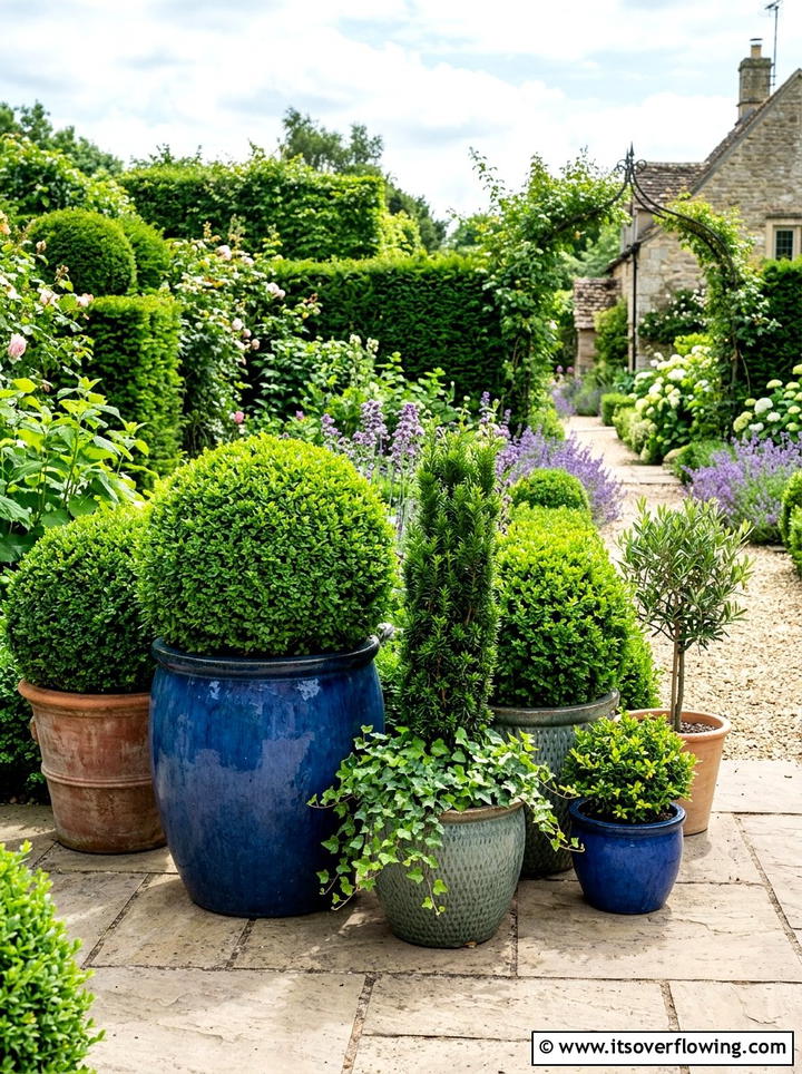 Container garden with evergreen shrubs - 25 cheap garden ideas with low maintenance plants