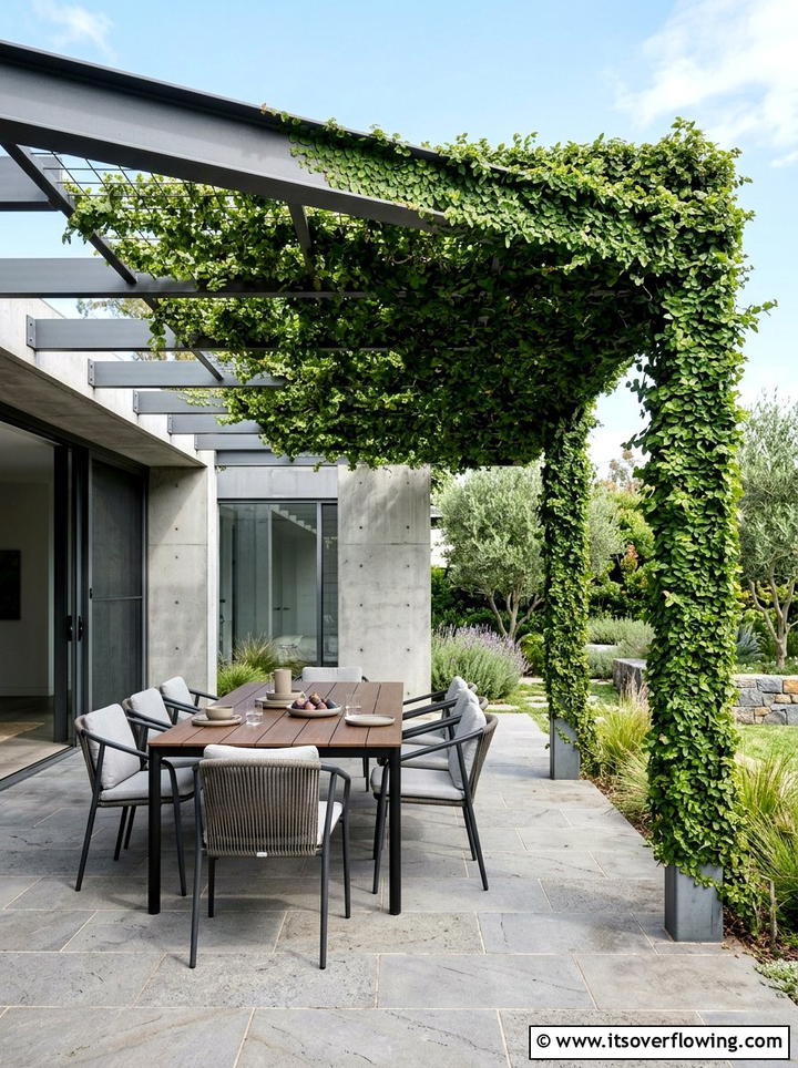Creeping fig modern pergola - 25 creative garden ideas with pergola vines