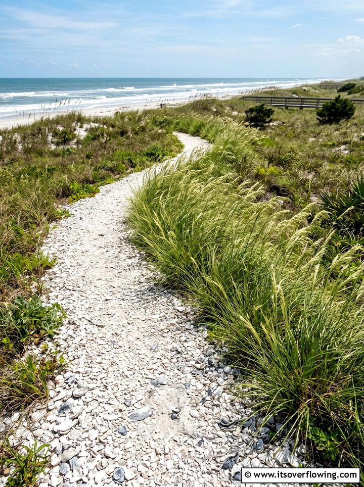 Crushed Seashell Garden Path - 25 upcycled garden ideas with coastal style