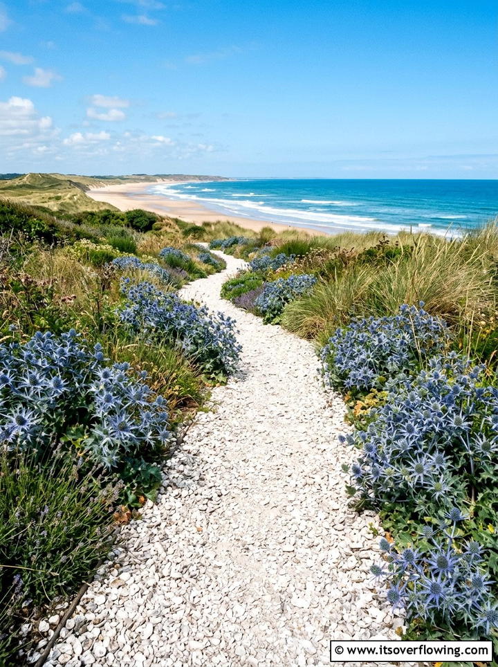 Crushed Shell Path - 25 cheap garden ideas with pathways