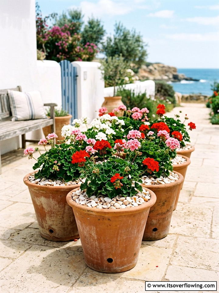 Crushed seashell mulch for flower pots - 25 garden ideas with shell borders