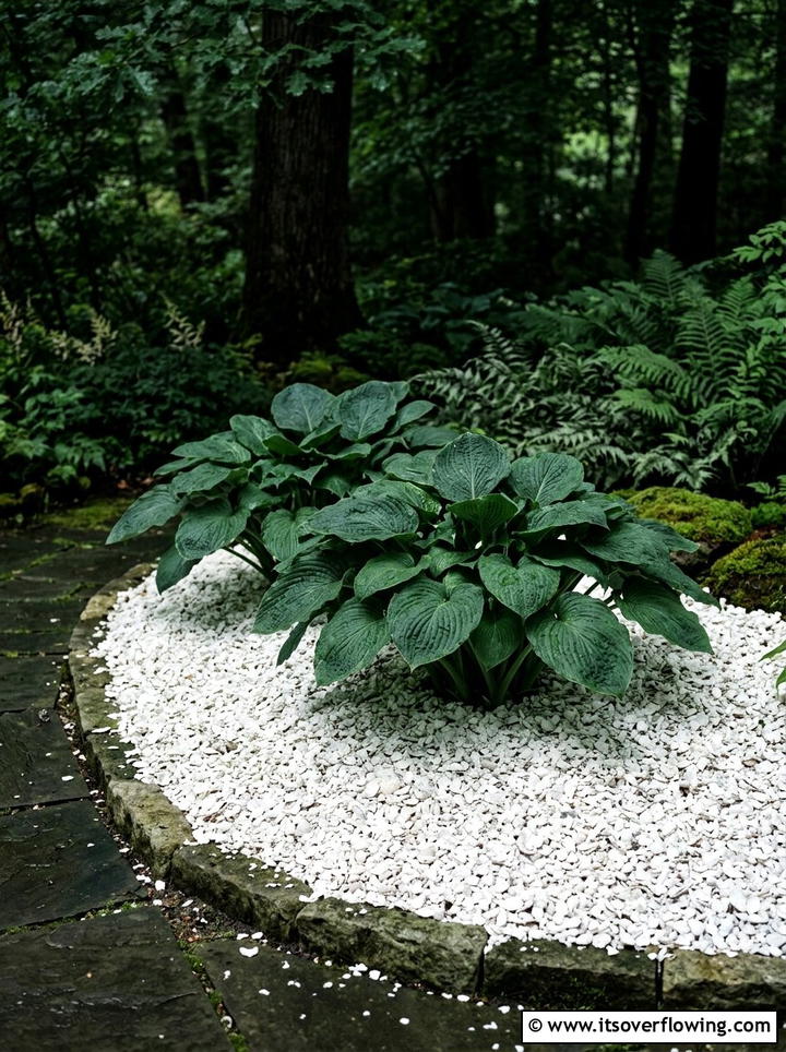 Crushed shell flower bed cover - 25 garden decor ideas with shell accents