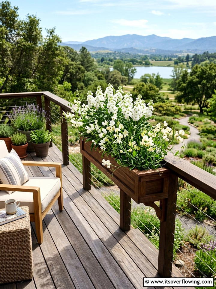 Deck Railing Window Box - 25 garden ideas with window boxes