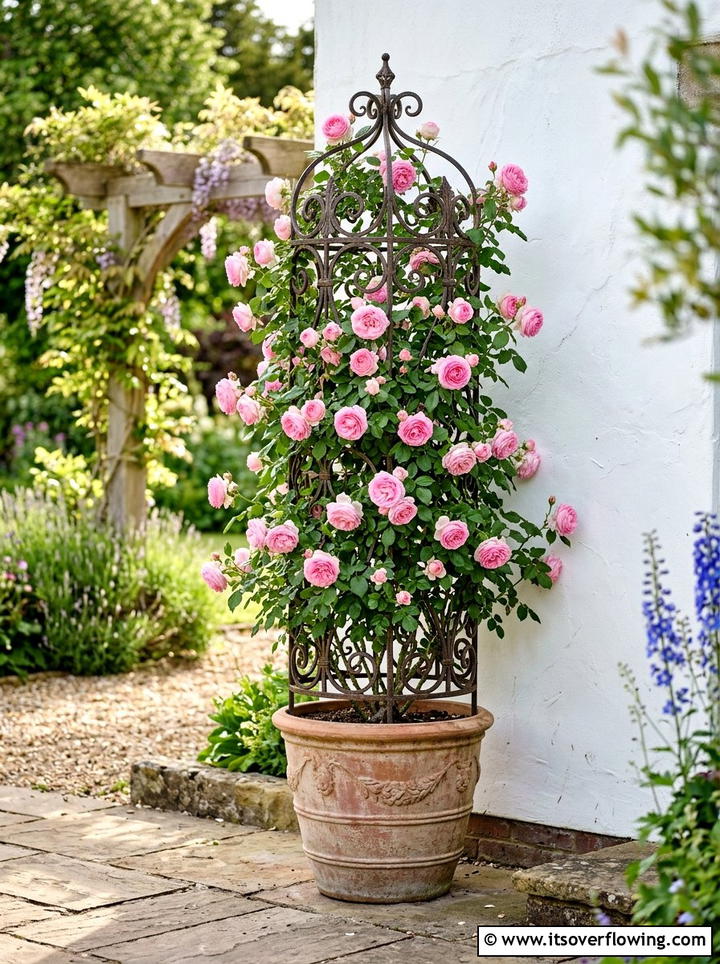 Decorative Trellis With Vines - 25 garden decor ideas for renters