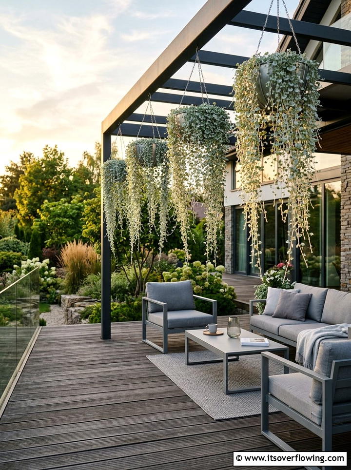Dichondra Silver Falls - 25 garden ideas with hanging baskets