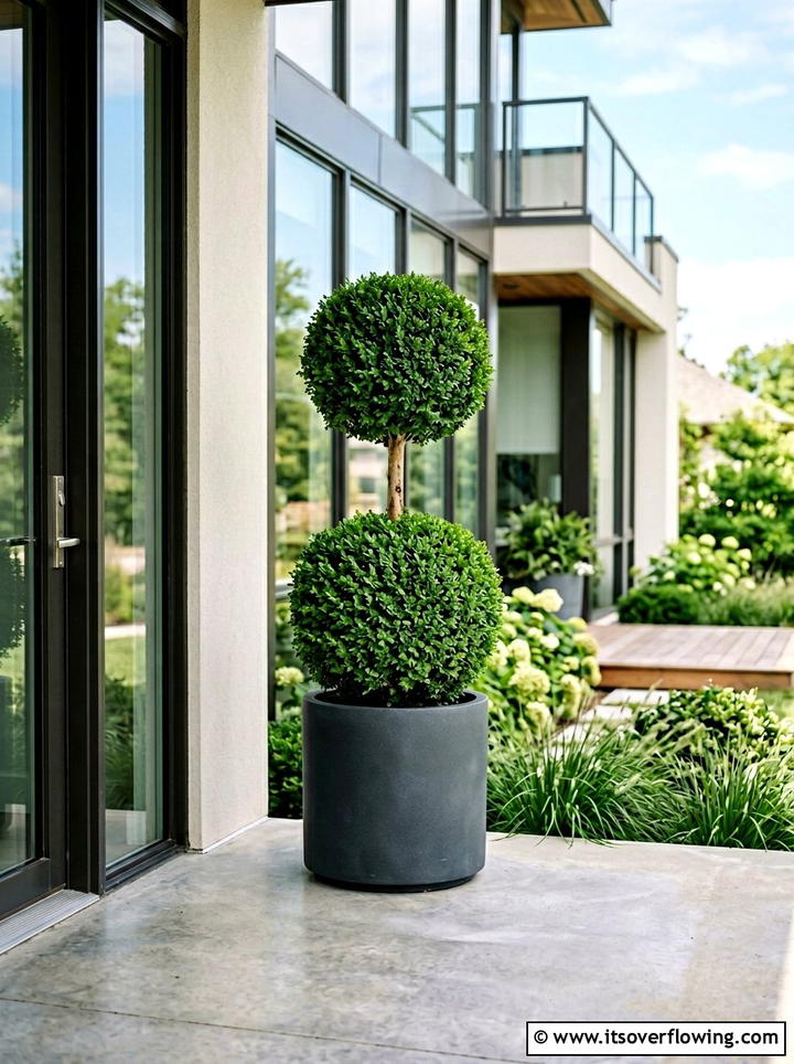 Double Ball Topiary - 25 creative garden ideas with topiary shapes