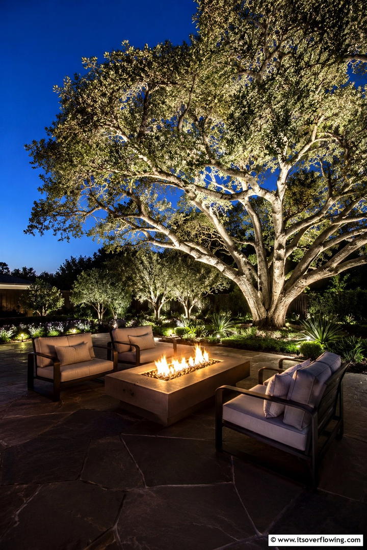 Dramatic Nighttime Illumination - 30 Tree Landscaping Ideas for Shade, Privacy, and Curb Appeal