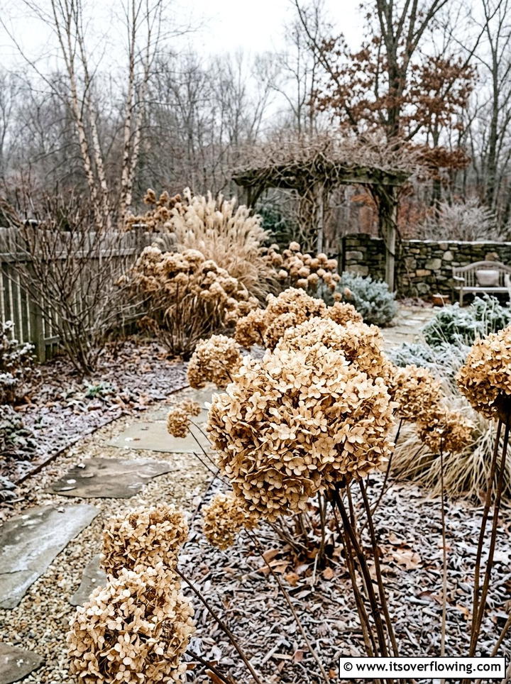 Dried Hydrangea - 25 garden ideas for year round color