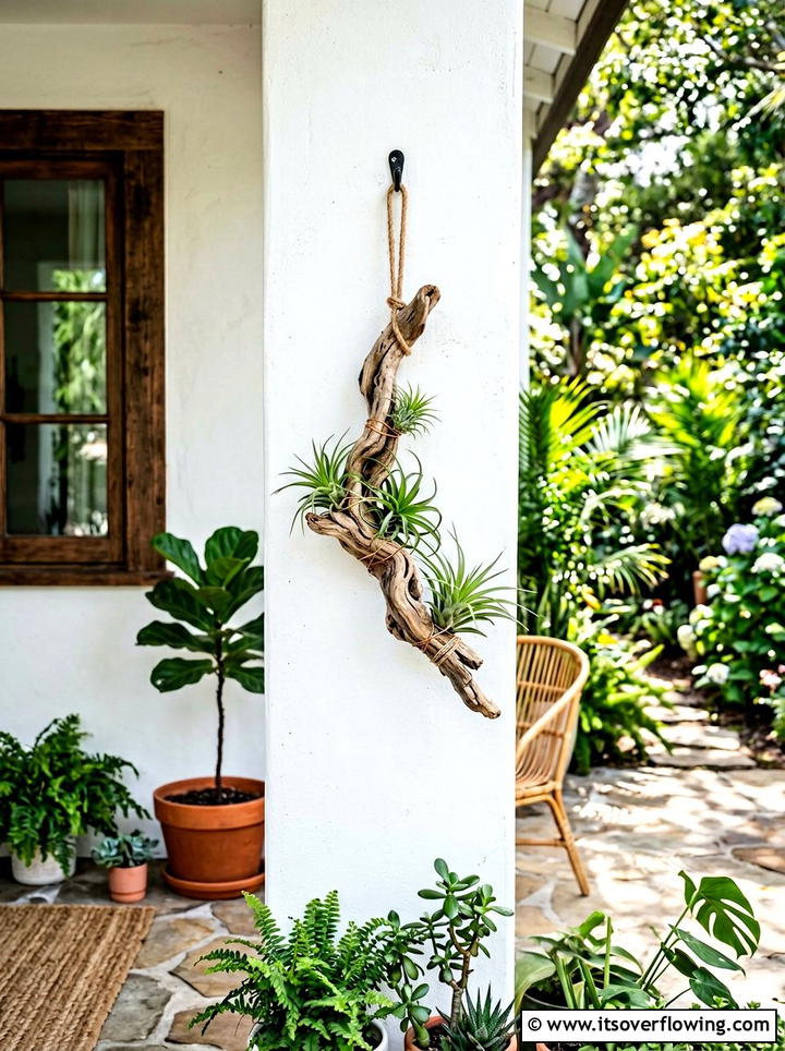 Driftwood Air Plant Holder - 25 upcycled garden ideas with driftwood