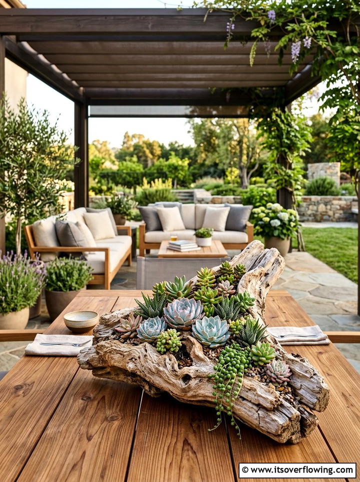 Driftwood Succulent Arrangement - 25 garden decor ideas with succulent displays