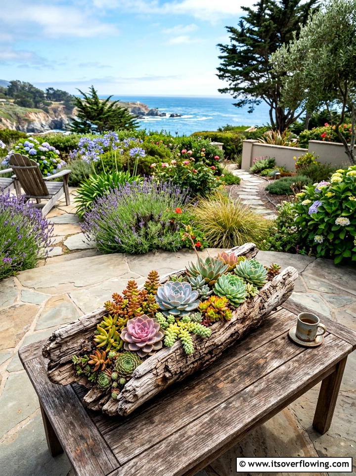Driftwood Succulent Planter - 25 upcycled garden ideas with driftwood