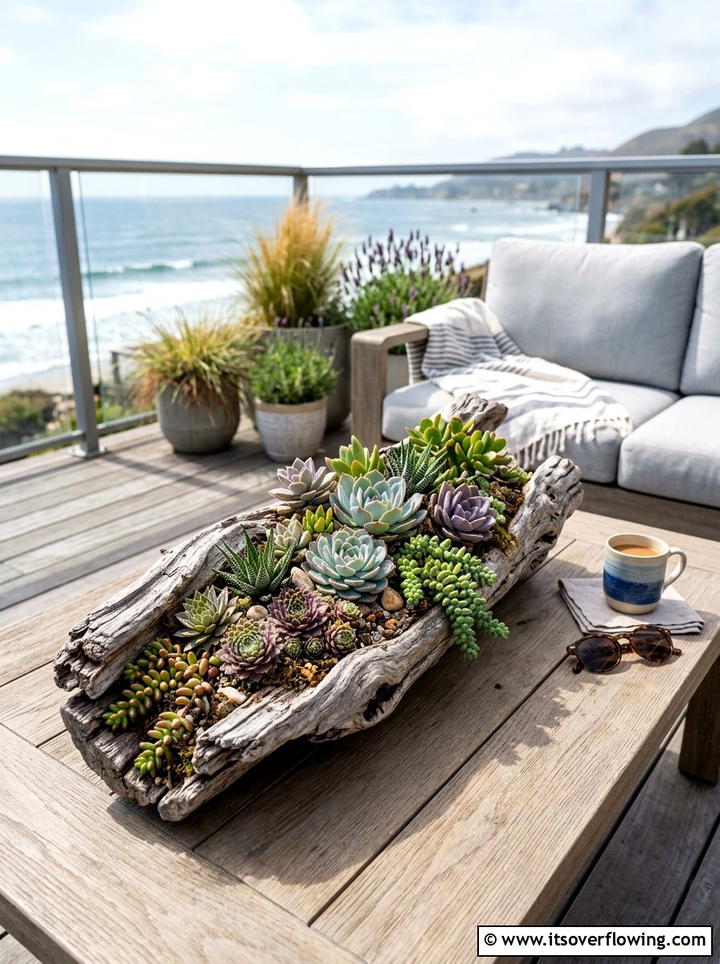 Driftwood succulent arrangement - 25 garden decor ideas with floral displays