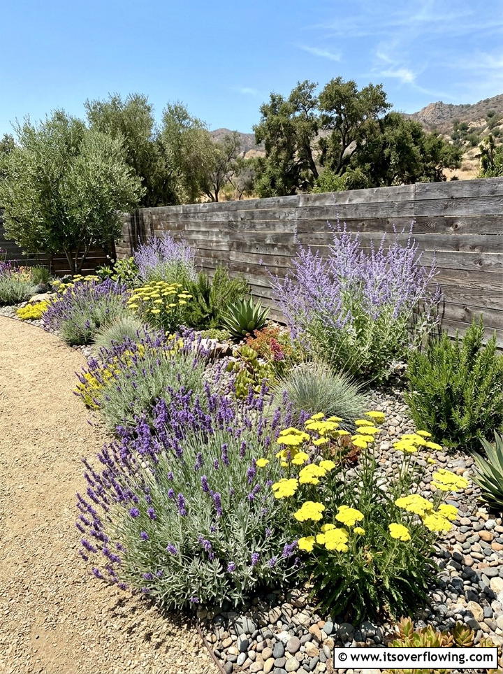 Drought Tolerant Garden - 25 cheap garden ideas with perennials