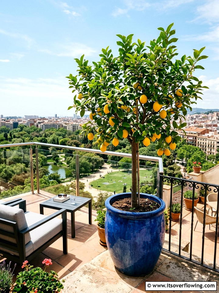 Dwarf Fruit Tree - 25 small garden ideas for urban homes