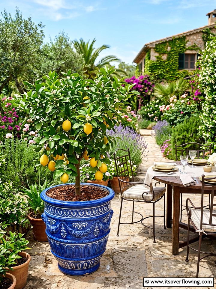 Dwarf Fruit Tree Container - 25 creative garden ideas with container vegetables