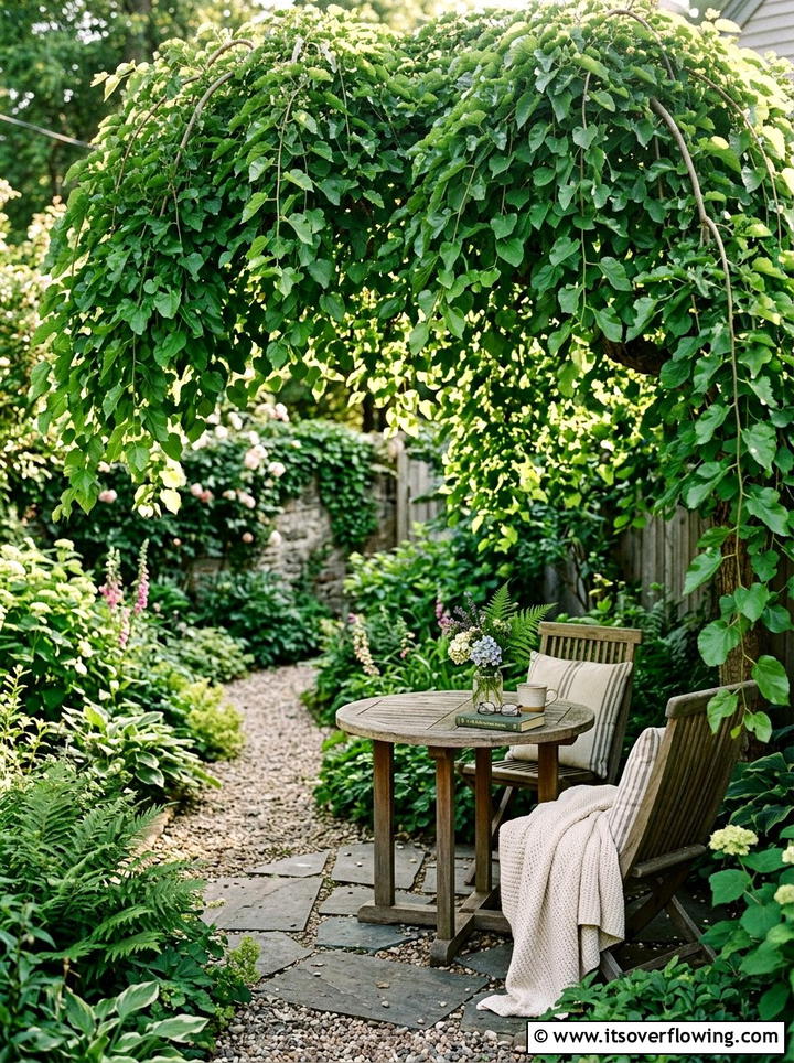 Dwarf Mulberry - 25 small garden ideas with dwarf trees