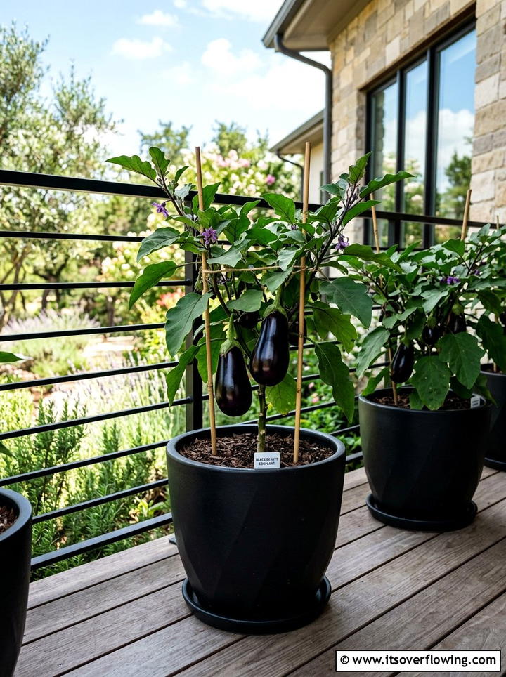 Eggplant Pots - 25 front porch ideas with edible plants