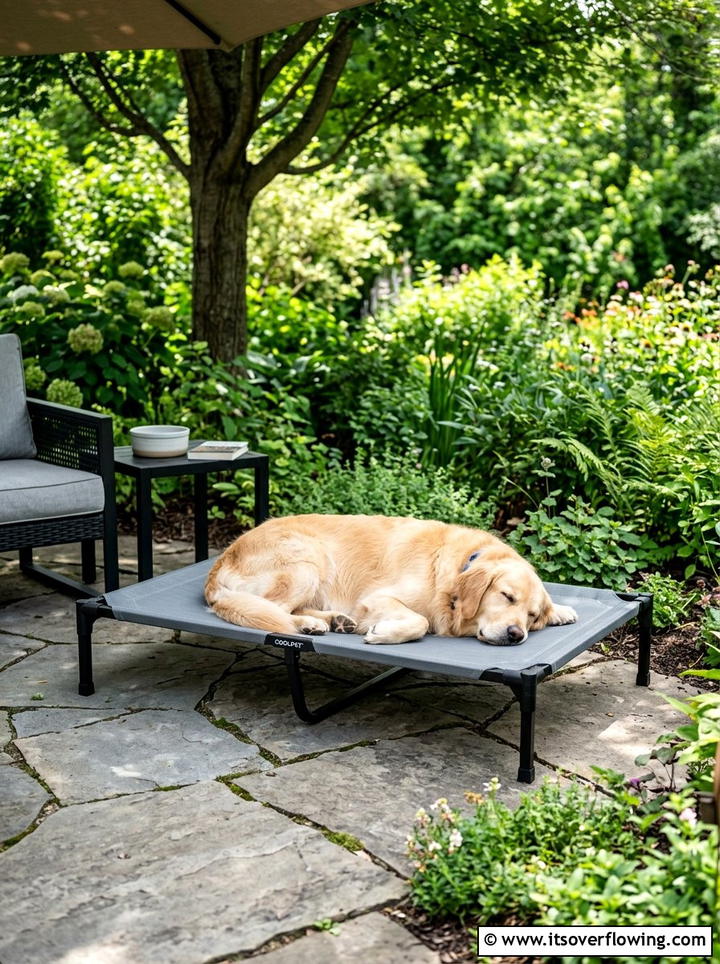Elevated Pet Cooling Cot - 25 backyard decorating ideas with pet friendly setup