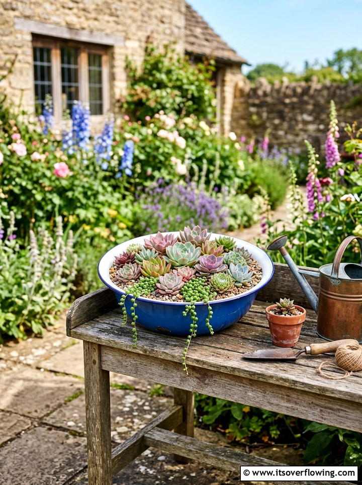 Enamel Bowl Planter - 25 reusing old things ideas for small garden