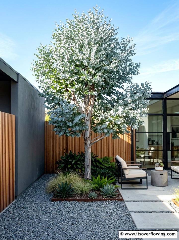 Eucalyptus Tree Corner - 25 creative garden ideas with fragrance gardens