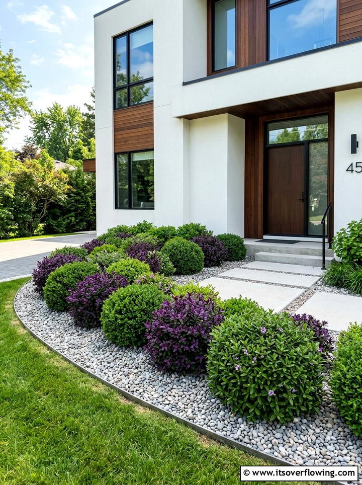 Euonymus Winter Interest - 25 garden design ideas with evergreen structure