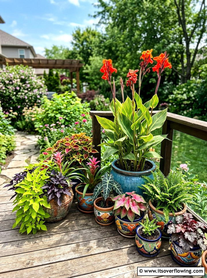 Exotic Plant Container Garden - 25 backyard ideas with tropical plants