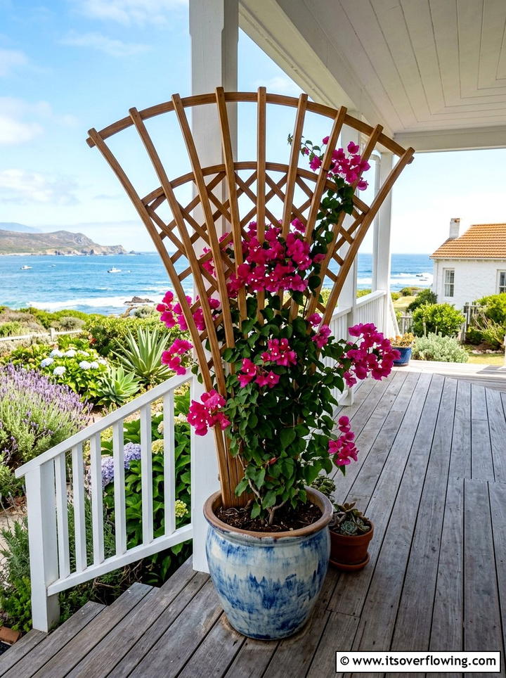 Fan Trellis For Container Gardening - 25 small garden ideas with trellis