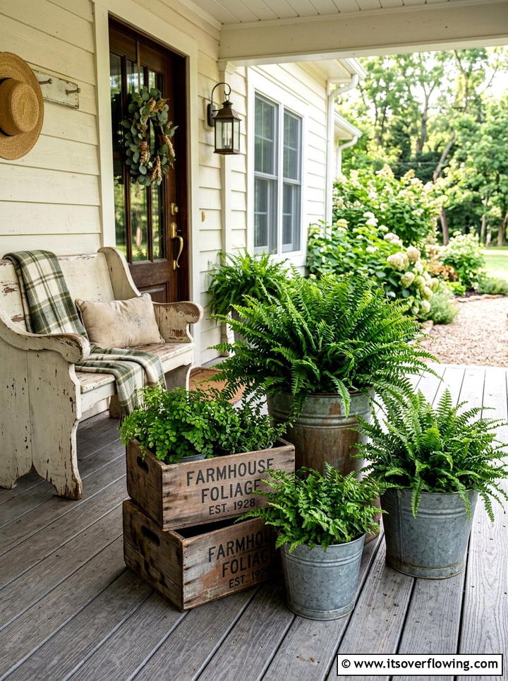 Farmhouse Porch Ferns - 25 front porch ideas with ferns