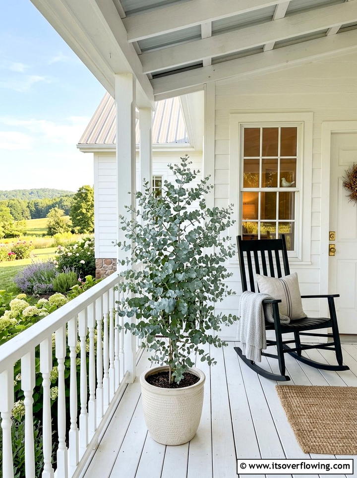 Farmhouse porch with eucalyptus tree - 25 front porch decor ideas with mini trees